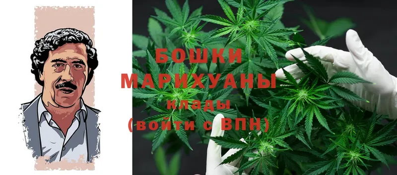 Бошки Шишки White Widow  Котельниково 